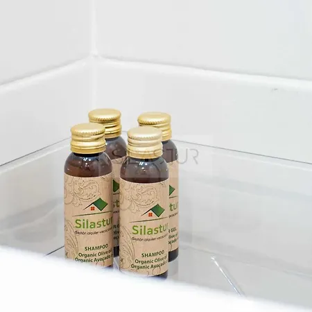 Asturches Χιχόν