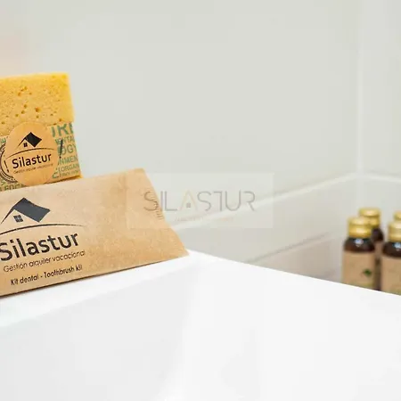 Asturches Apartment Gijon