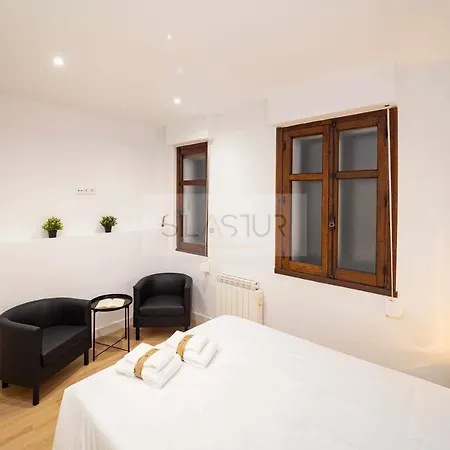 Asturches Apartment Gijon