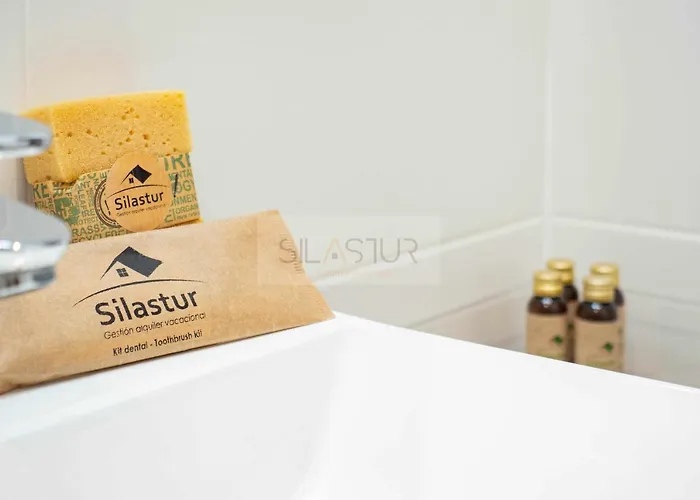 Asturches Διαμέρισμα Χιχόν